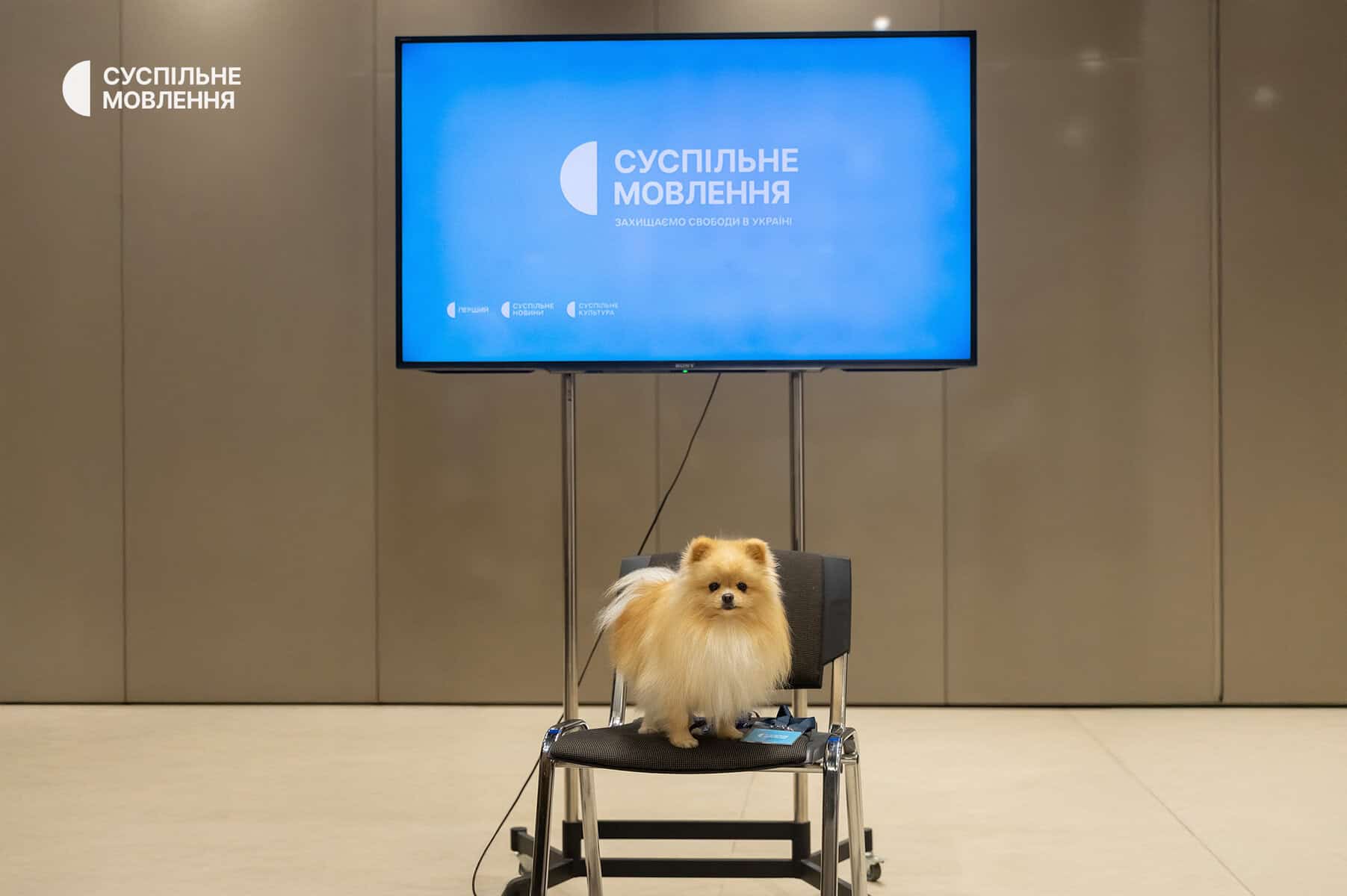 Стенд Суспільного Мовлення на ярмарку вакансій