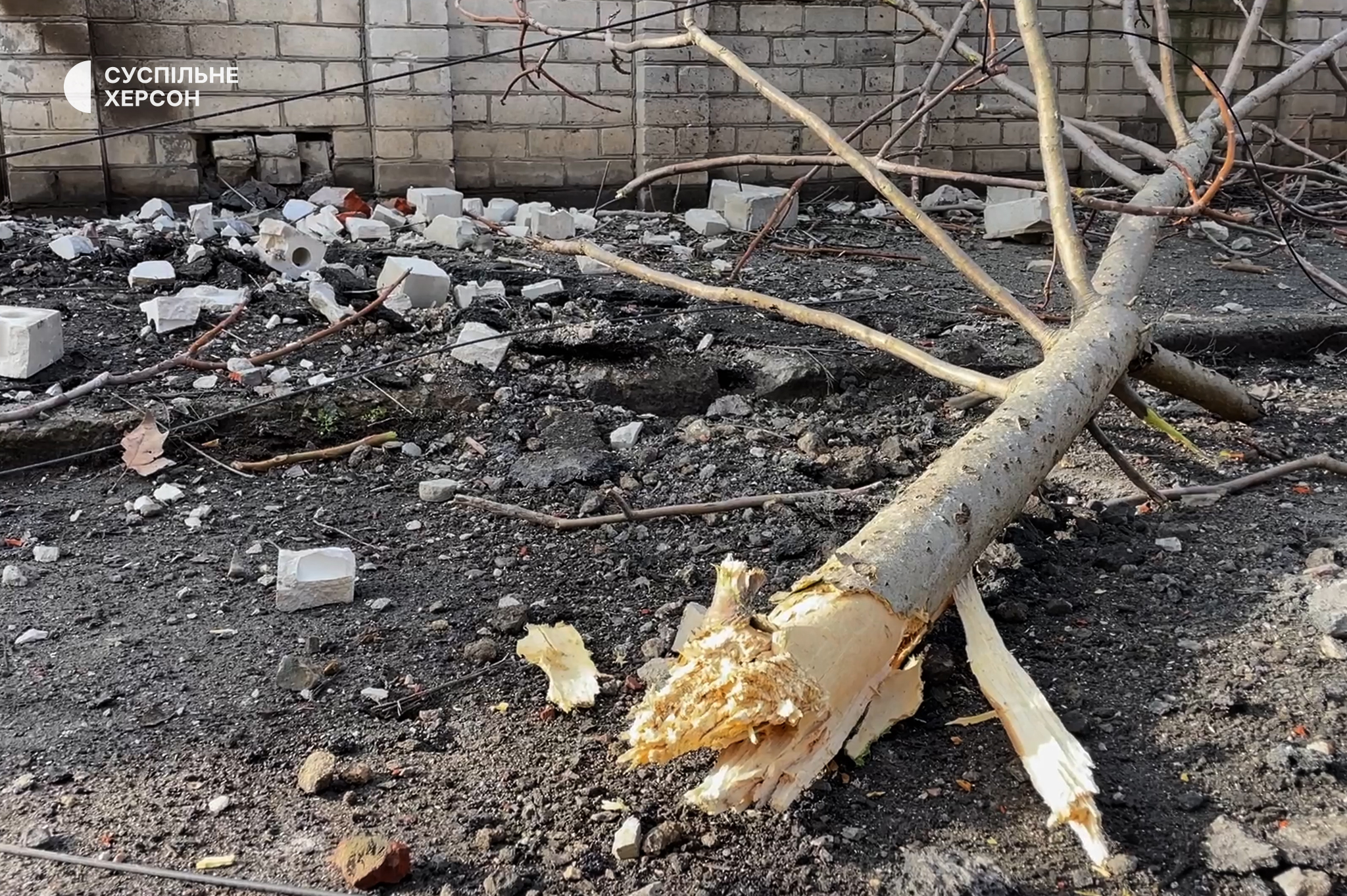 Кадр із фільму «Херсон. Дихай повільно» зламане внаслідок російського обстрілу дерево лежить посеред житлового кварталу