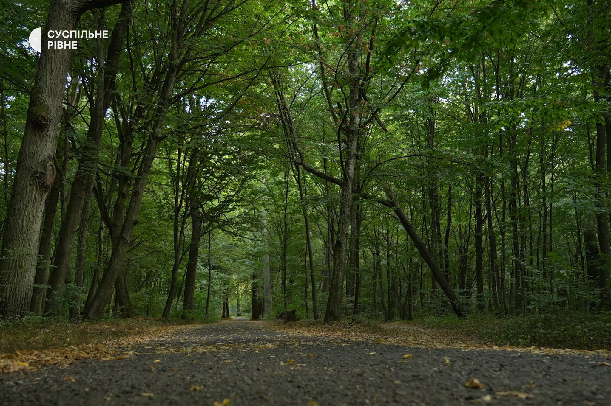 Екорозслідування Суспільне Рівне