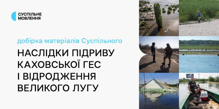 Наслідки підриву Каховської ГЕС і відродження Великого Лугу: добірка матеріалів Суспільного